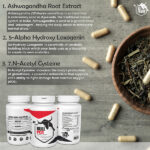 BULL PHARM BULL PCT 60 CAPSULES - Image 2