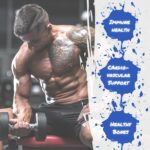 GASPARI NUTRITION ANAVITE-XT SPORTS MULTIVITAMIN EXTREME TESTBOOSTER 90 TABLETS - Image 4