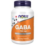 NOW FOODS GABA 750MG 100 VEG CAPSULES