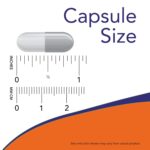 NOW FOODS L-ARGININE 500MG 100 VEG CAPSULES - Image 4