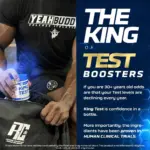 RONNIE COLEMAN KING TEST 8X 90 TABLETS - Image 6