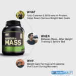 Optimum Nutrition (ON) Serious Mass High Protein and High Calorie Mass Gainer / Weight Gainer Powder - 6 lbs, 2.72 kg (Chocolate) with Vitamins and Minerals - Image 2