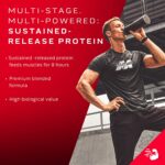 MUSCLETECH PLATINUM 8-HOUR PROTEIN - Image 5