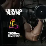 GAT SPORT NITRAFLEX KAOS PREMIUM FULLY DOSED PRE-WORKOUT 40 SERVINGS - Image 4